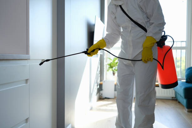 Best Residential Mold Removal  in Lauderdale, MN
