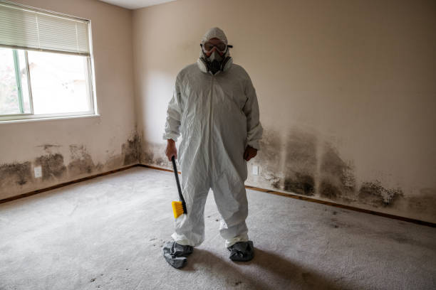 Best Mold Testing  in Lauderdale, MN